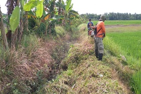 PEMBERSIHAN HILIR SALURAN INDUK JRAKAH