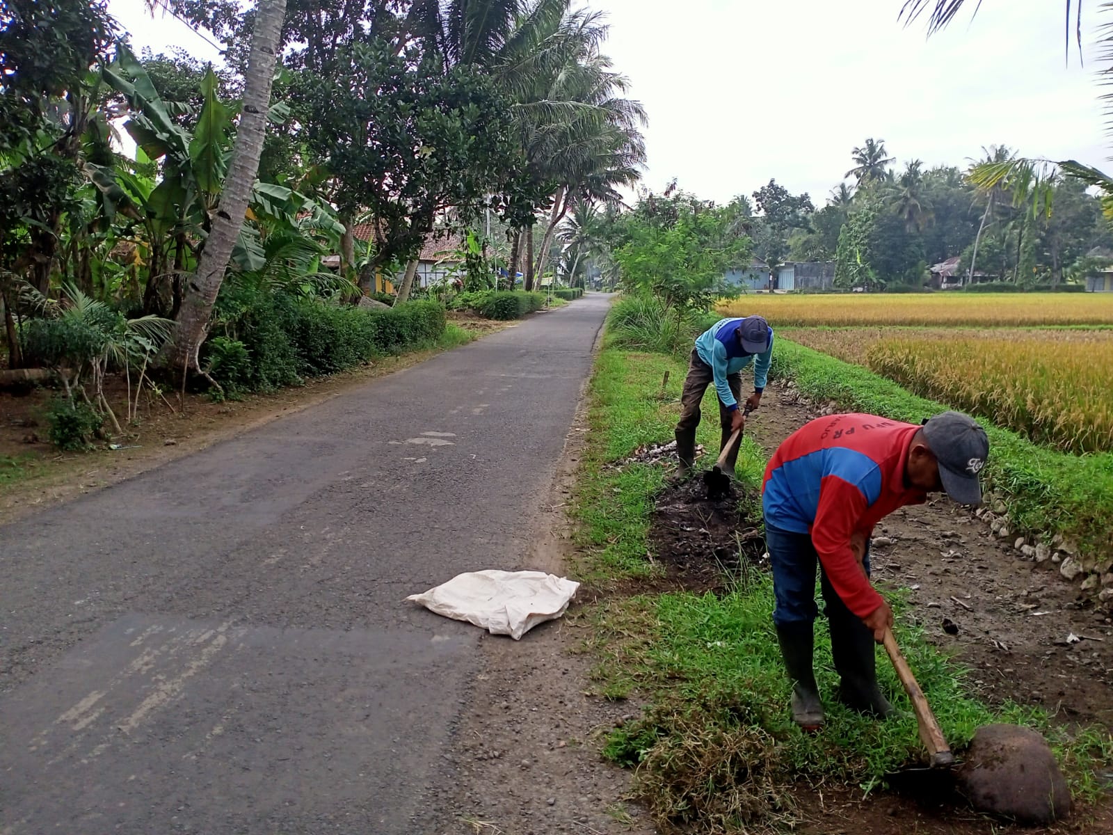 Kegiatan Rutin Pemeliharaan Jalan  Ruas Butuh – Jamprong