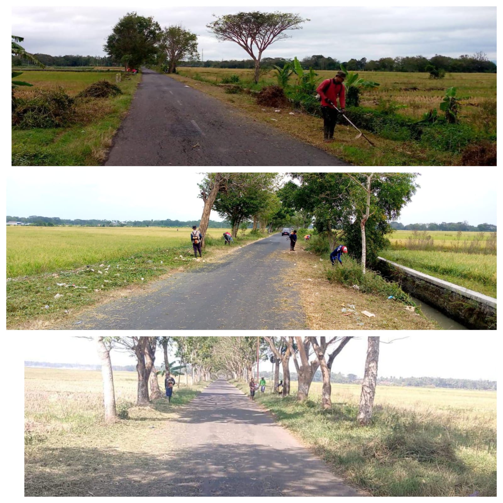 Pemeliharaan Rutin Jalan Bulan Juli 2023 di UPT PJI Wilayah Purwodadi