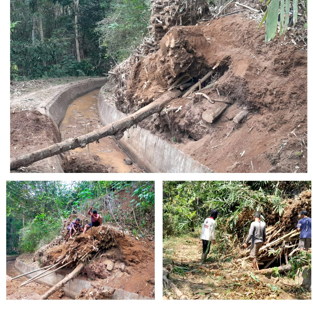 Penanganan Dongklak Bambu Saluran Planditan
