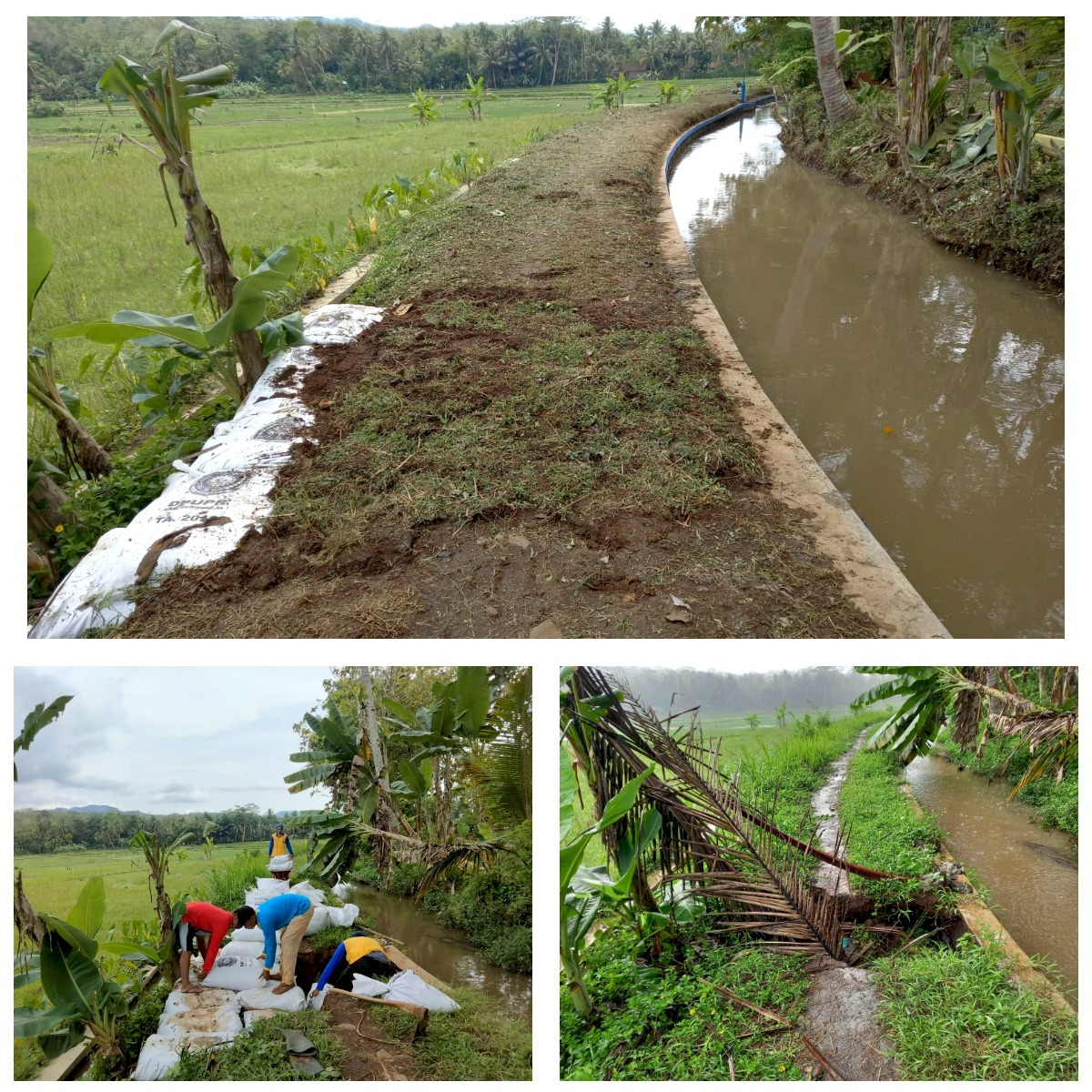 Penanganan Darurat Tanggul Saluran