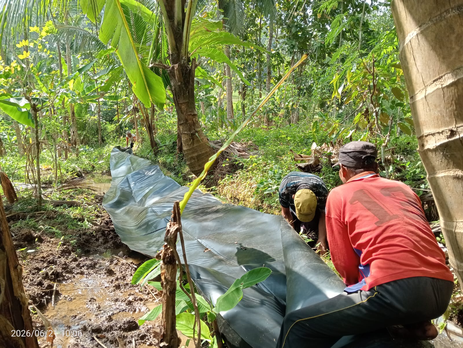 Pemasangan Geomembran HDPE di Saluran Sileteh Tingkatkan Efisiensi Irigasi Pertanian Desa Sedayu